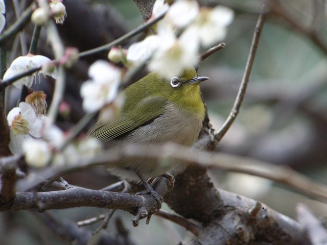 2010.02.27.r0020435.jpg