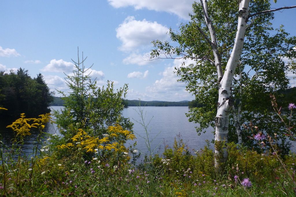 P1030261.jpg
