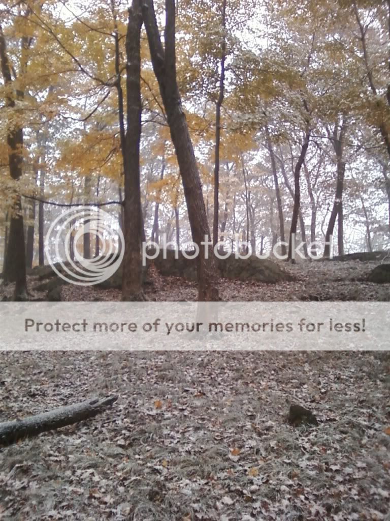 Newpics090-1.jpg