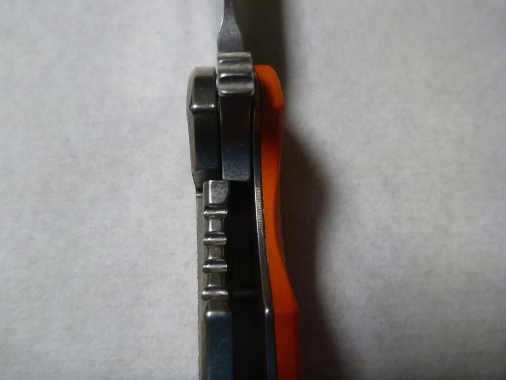 P1000263_zpsa6a52e7b.jpg