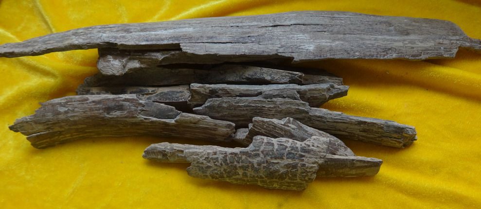 DSC00050_zps0ca8bd67.jpg