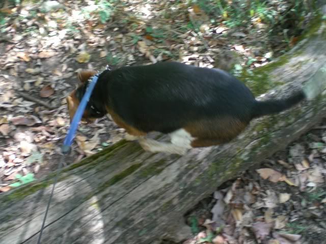CheeksBluffBendOctober192008045.jpg