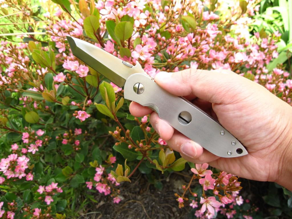 Emerson008.jpg