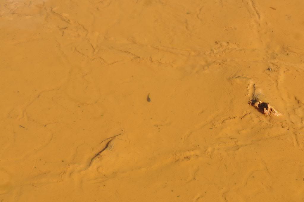 DSC_0538.jpg