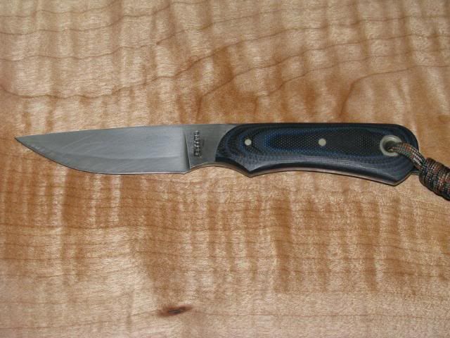 WTT019-2.jpg