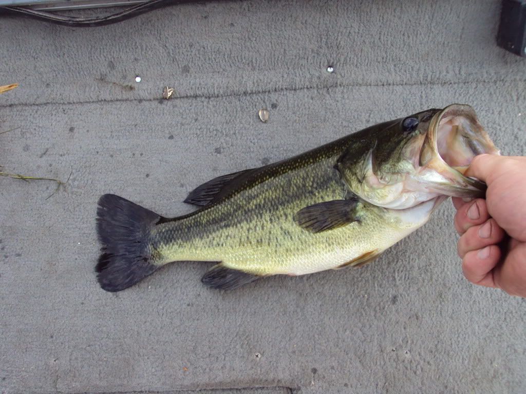 DSC00923.jpg