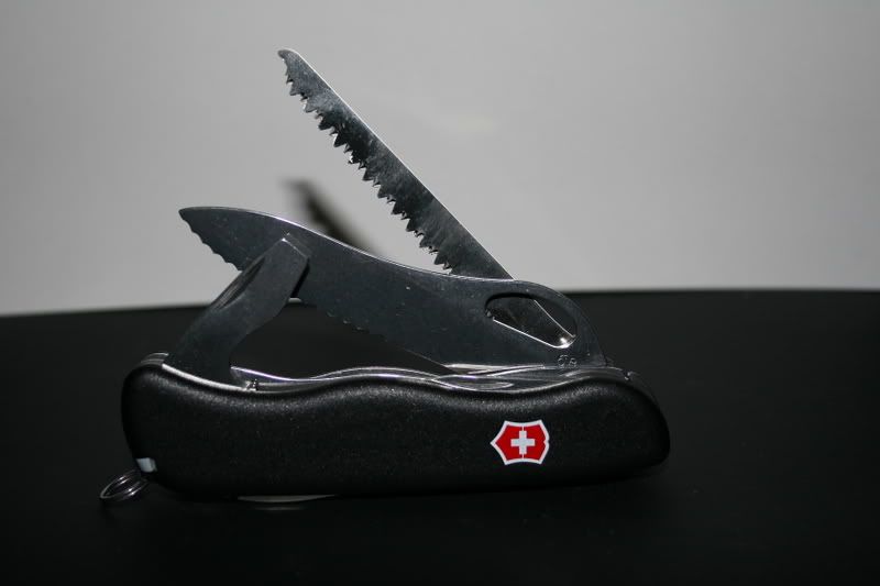 vics019.jpg
