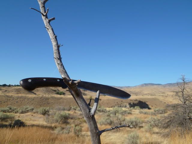 P1010029.jpg