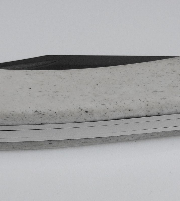 bone110005.jpg