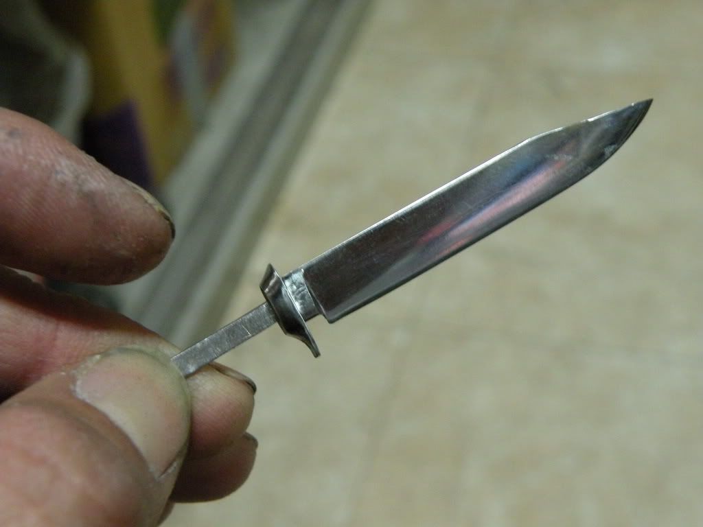 1041.jpg
