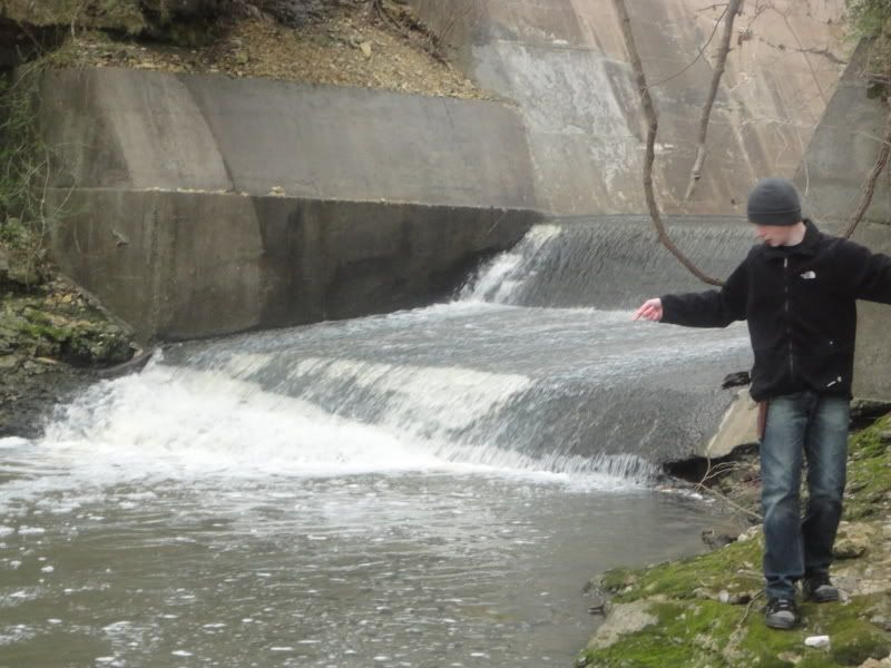 springfork011.jpg
