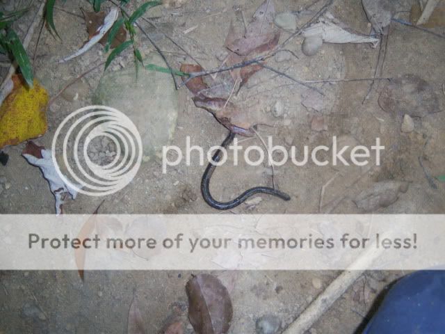 nov01-2009045.jpg