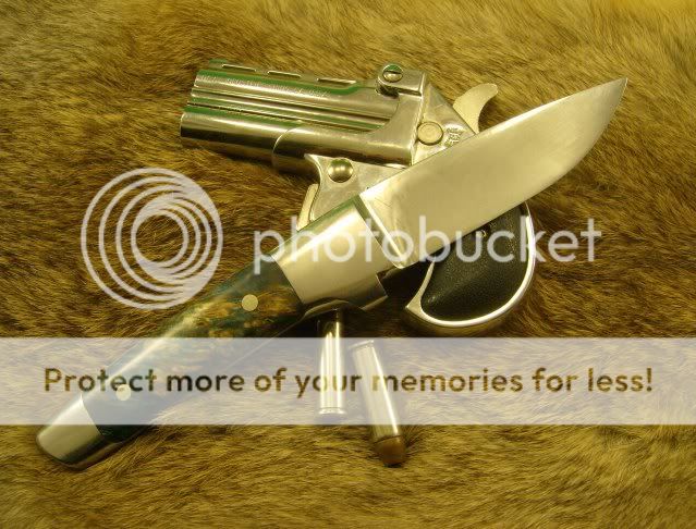 HPIM0987.jpg