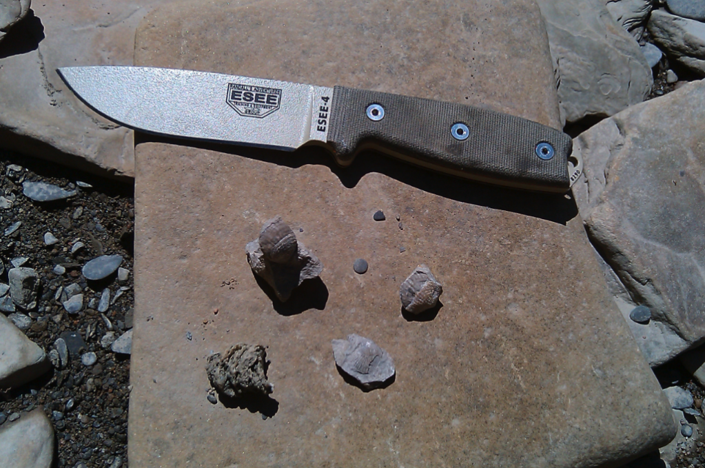 Picture1esee.png