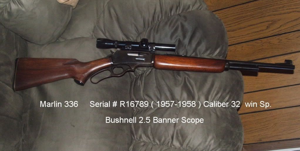 marlin336-1.jpg