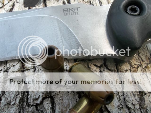 100_3562.jpg