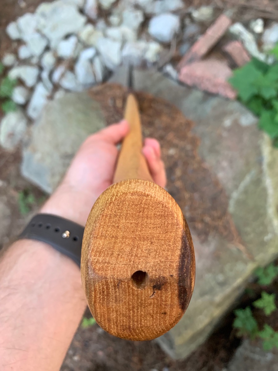 grizz_20190815_5294.jpg