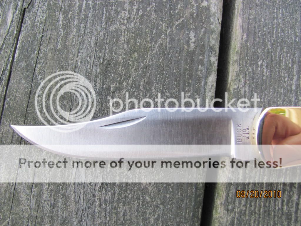 Picture011.jpg