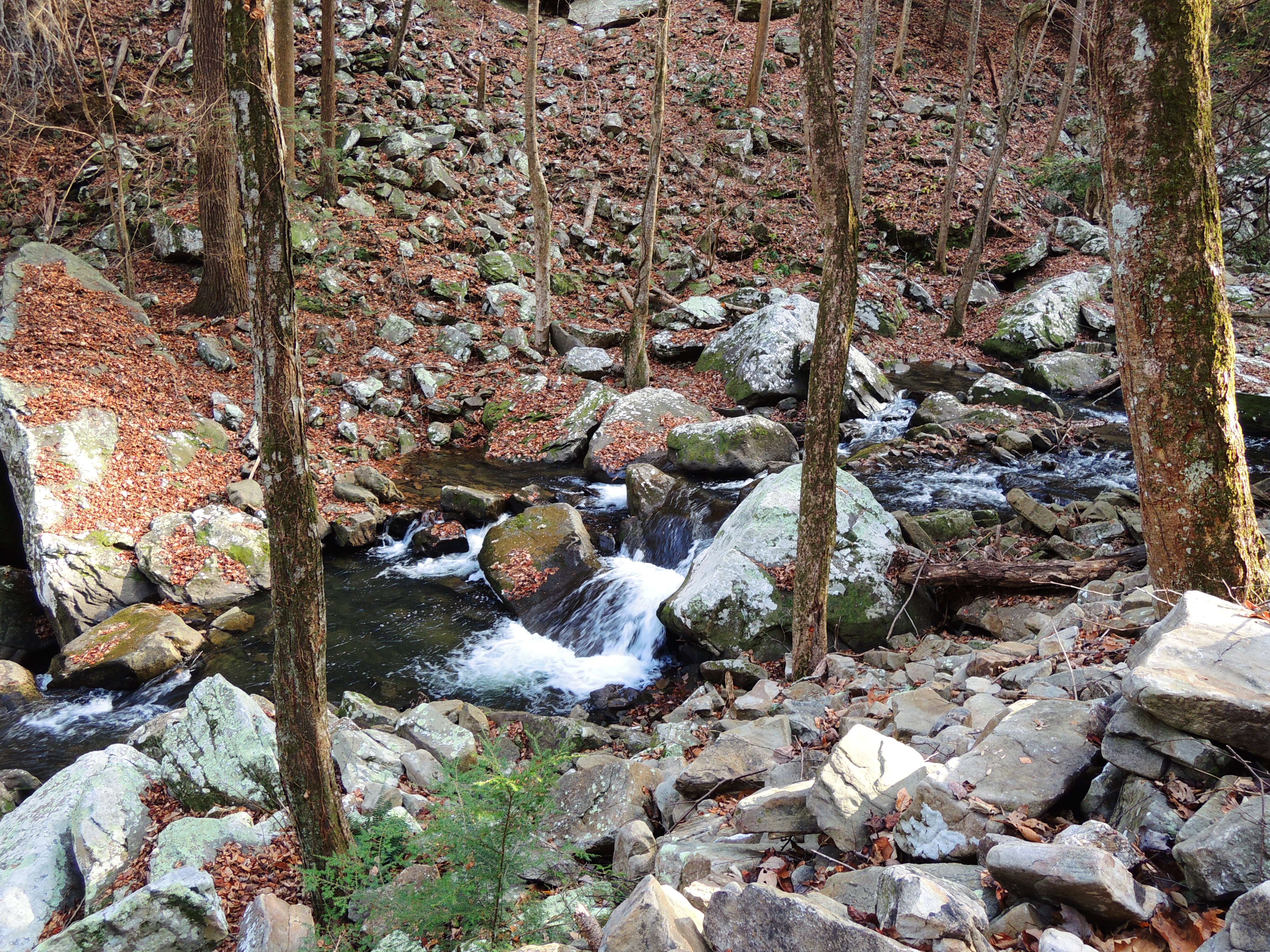 dscn4173n.jpg