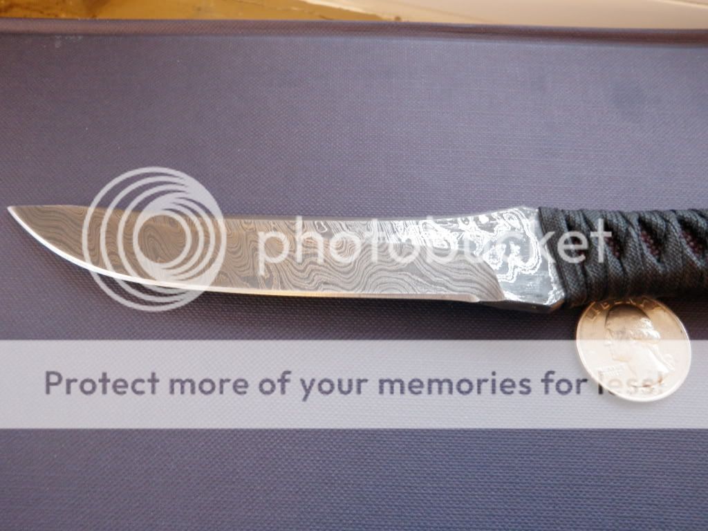 PC260239.jpg
