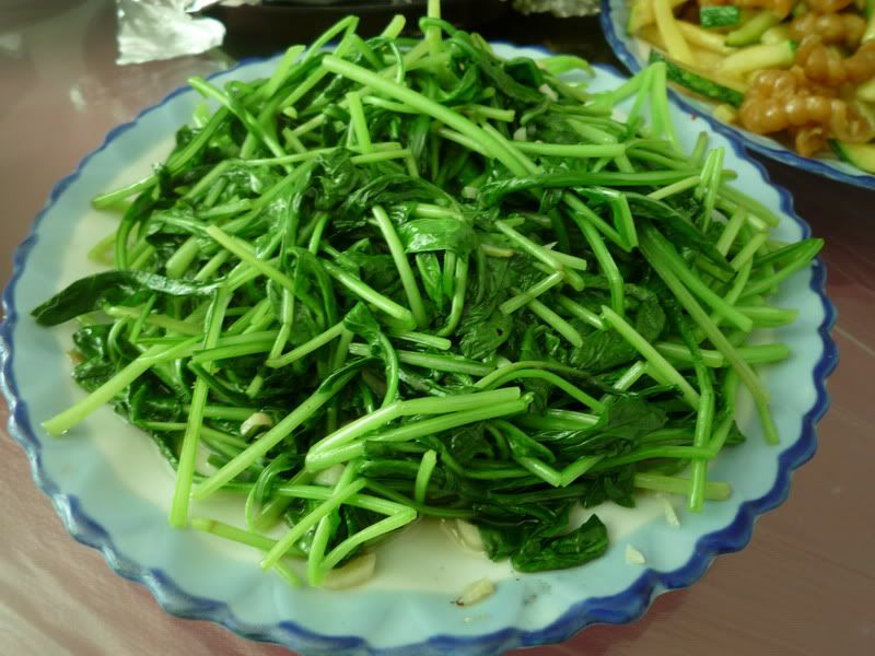 P1000920.jpg