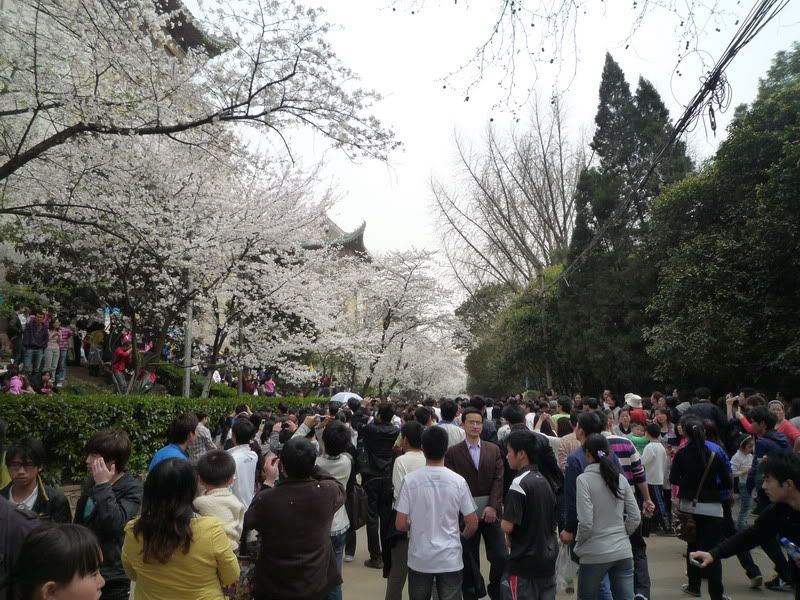 P1050184.jpg