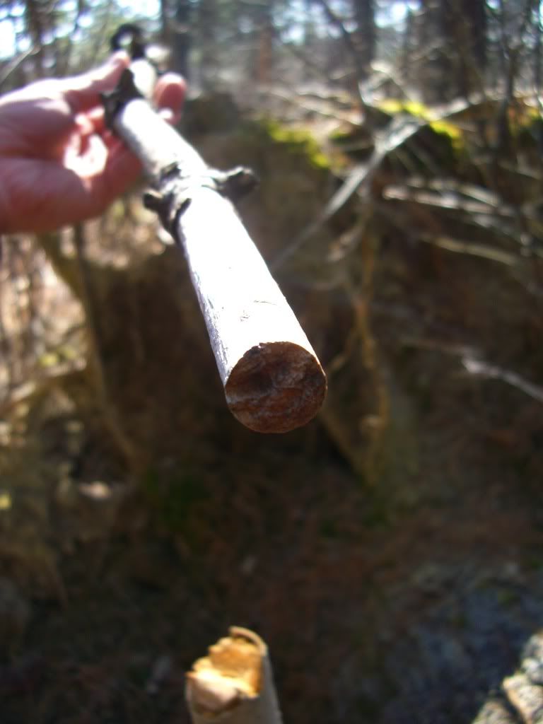 CIMG8849.jpg