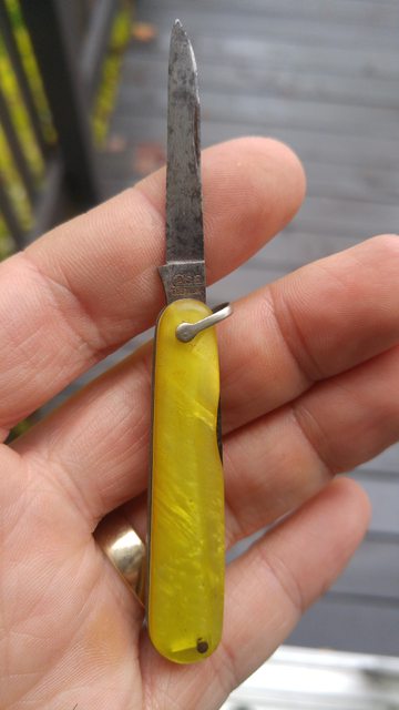 gEQ4LrSl.jpg