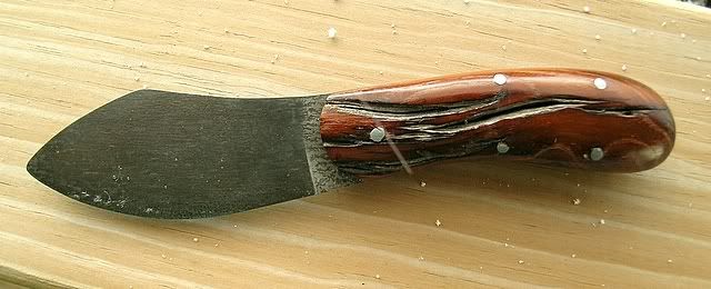 DSCN0741.jpg