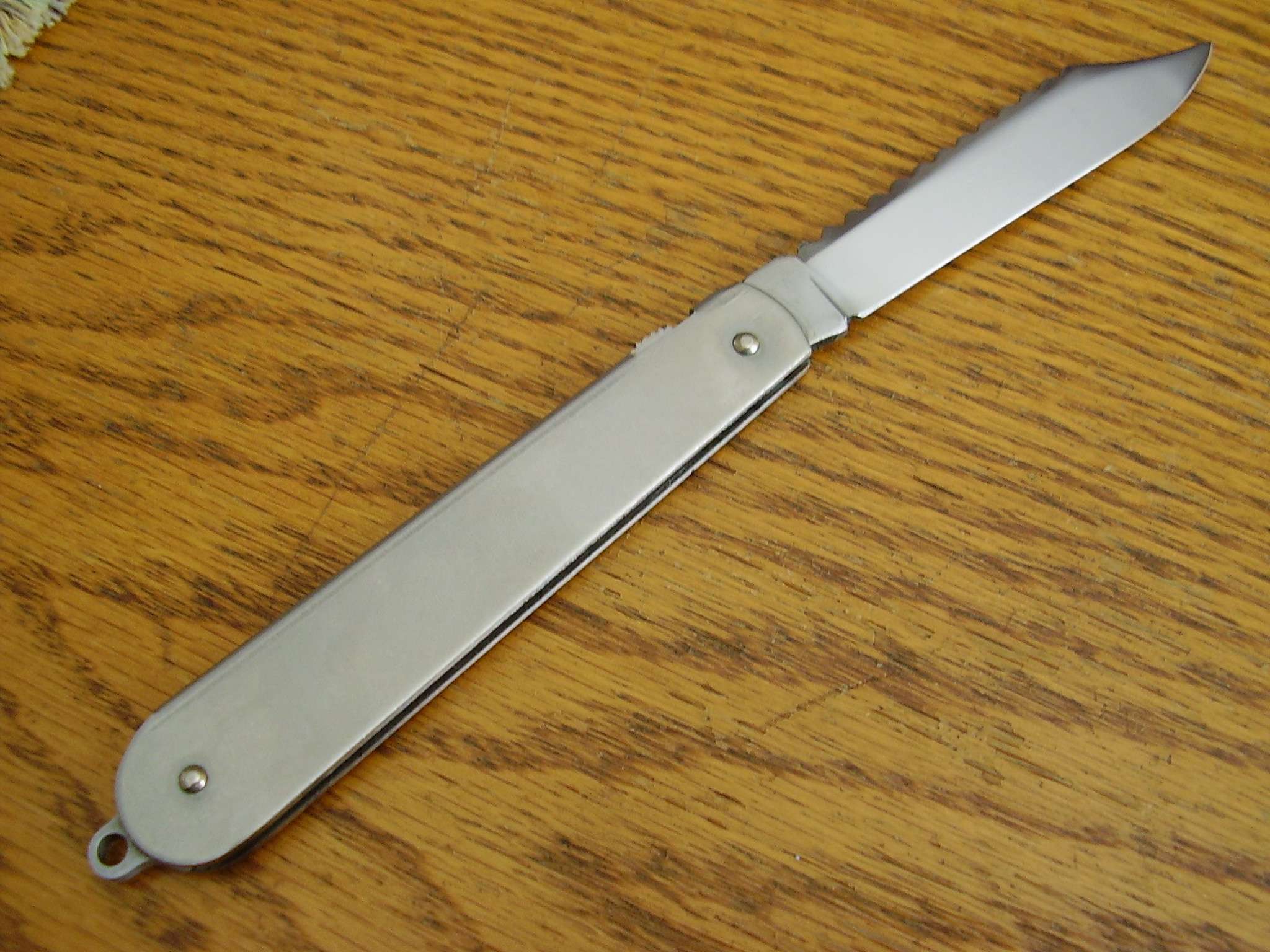 p4080003f.jpg
