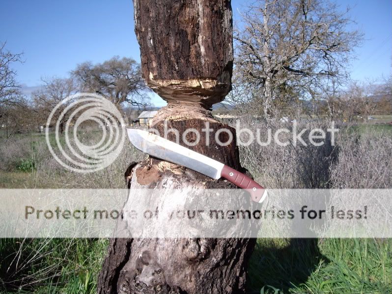 Siegleblade6.jpg