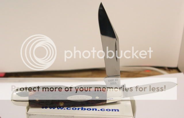 DSCN2298.jpg