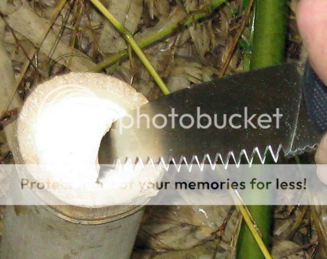 IMG_6987.jpg