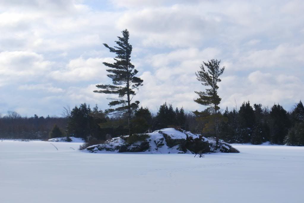 DSC_0115-1.jpg
