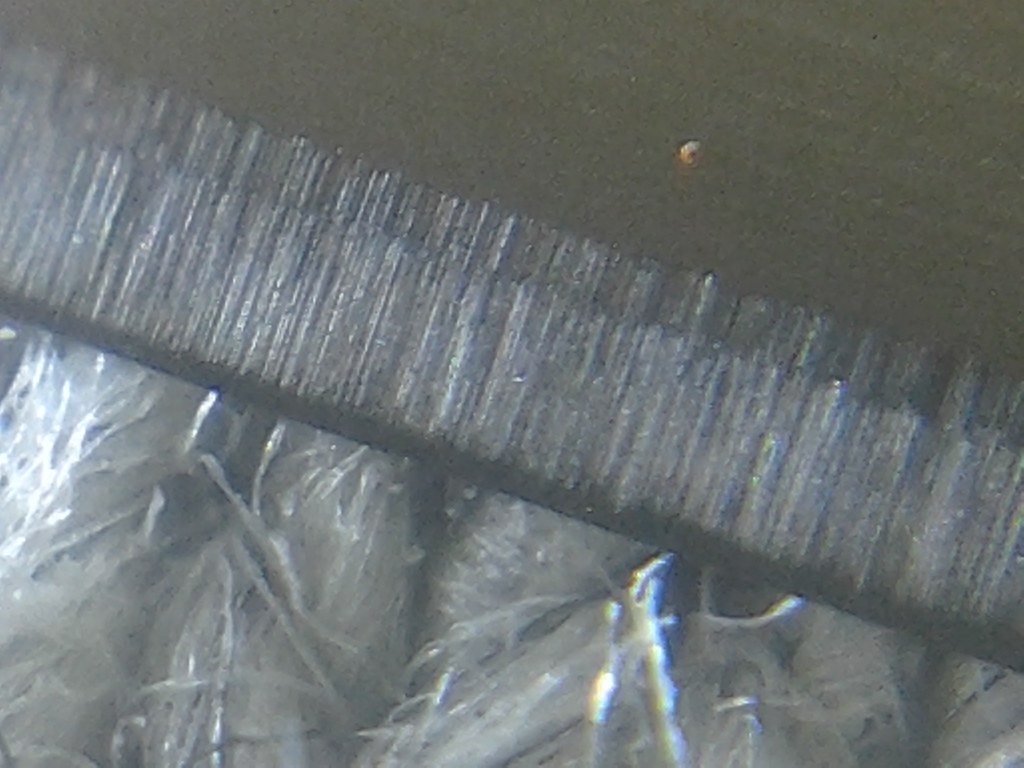11701185665_d609ff5c20_b.jpg