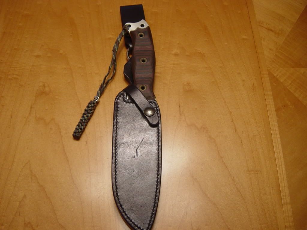 DSC02214.jpg