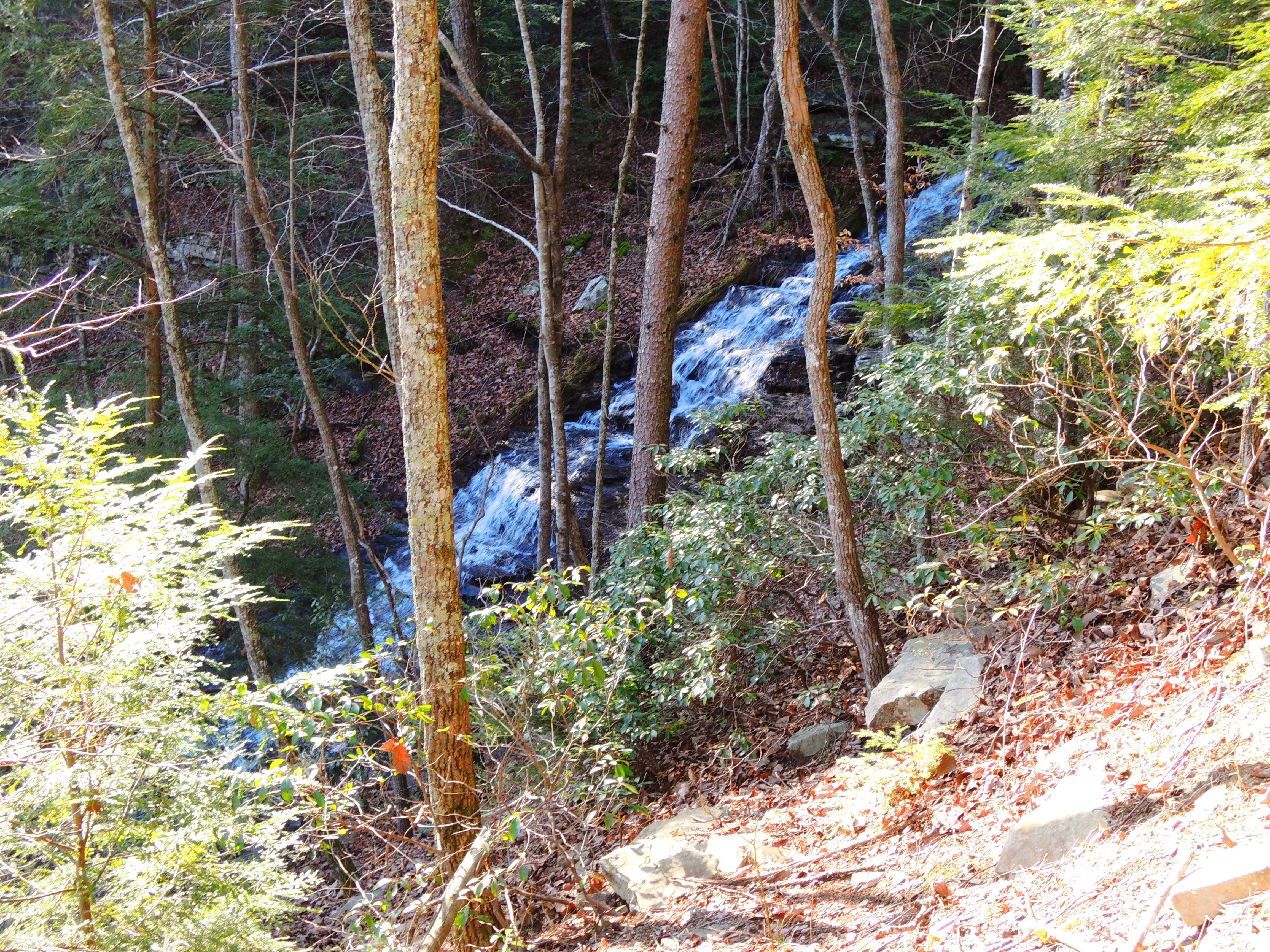 dscn6980e.jpg