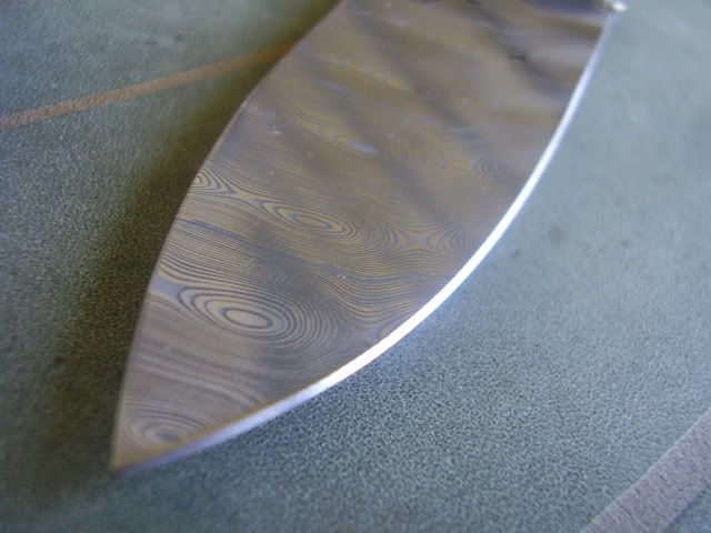 PC310253.jpg