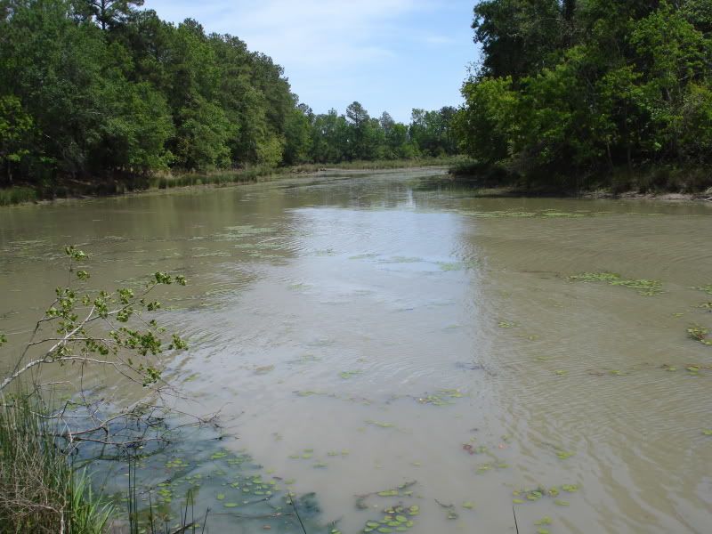 20090409_17.jpg