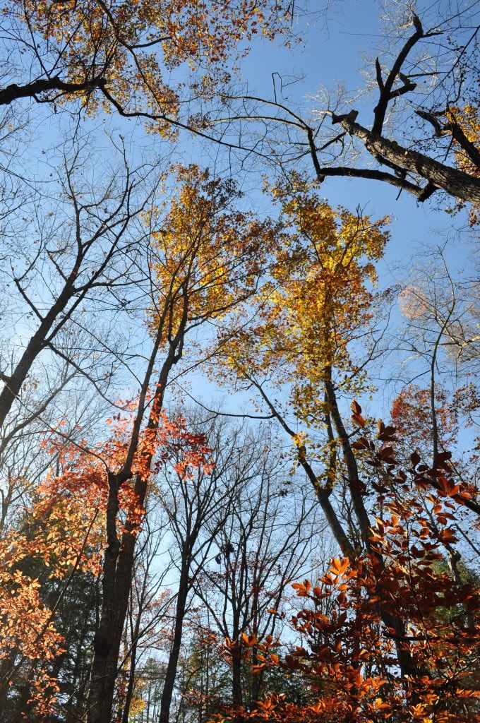 DSC_4790.jpg
