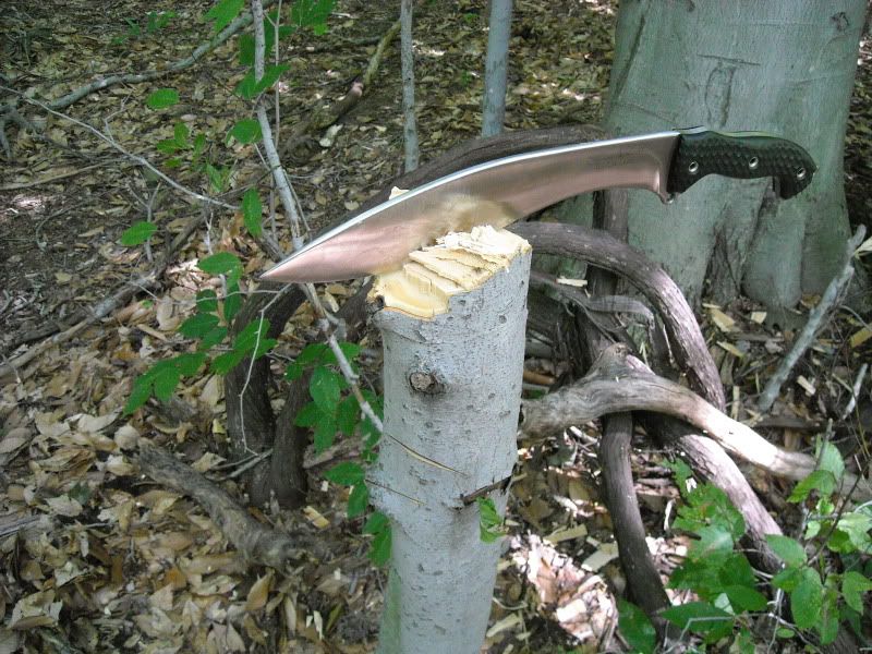 DSCN1722.jpg