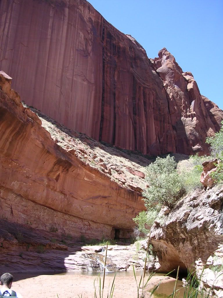DSCN0154.jpg