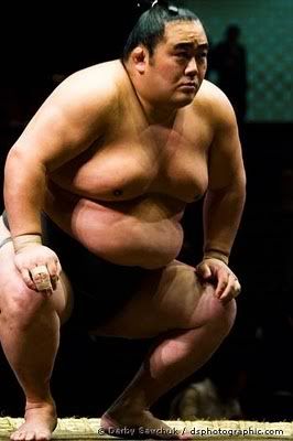 SumoWrestlersPhotos17.jpg