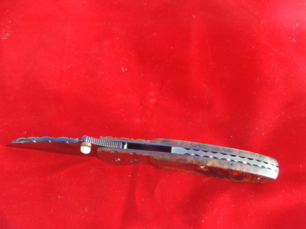 KIF_3346.jpg
