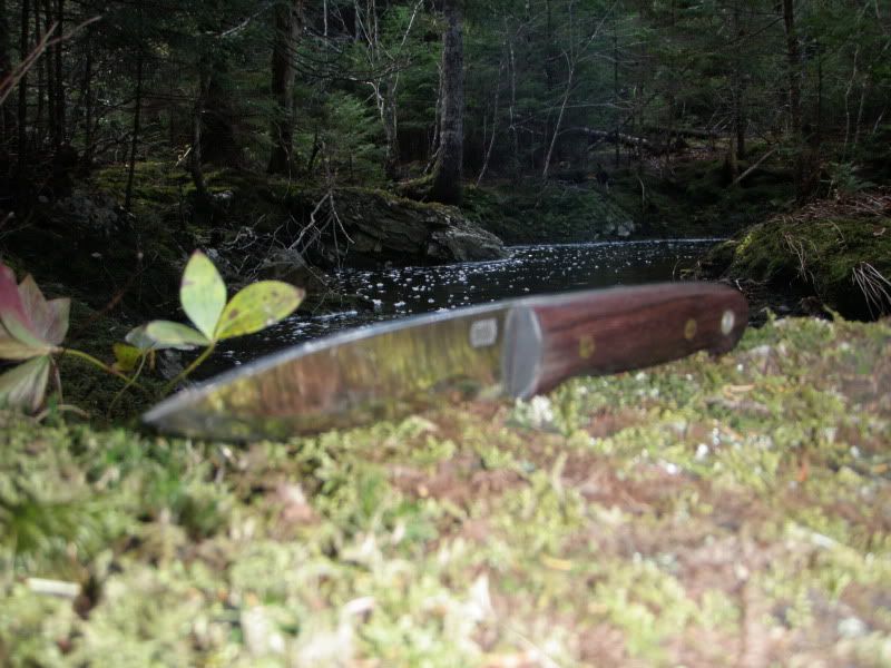 PA290901.jpg