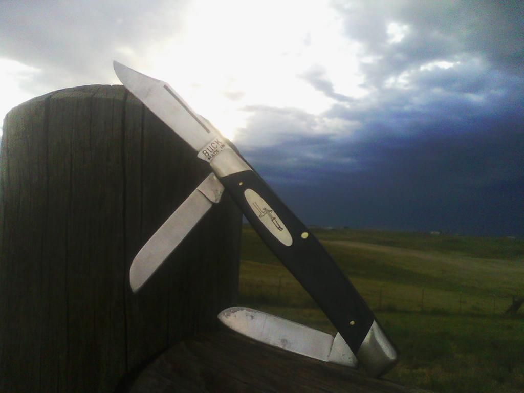 IMG10322.jpg