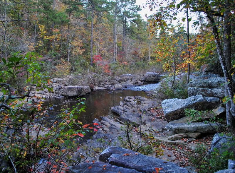 DSC_7965.jpg