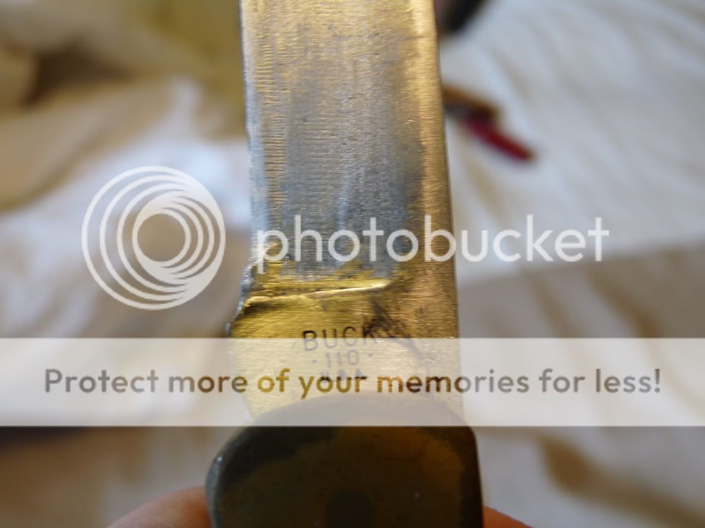 buck110stamp.jpg