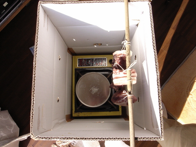 2010.01.03.r0019731.jpg