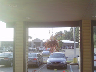 IMAG0152.JPG